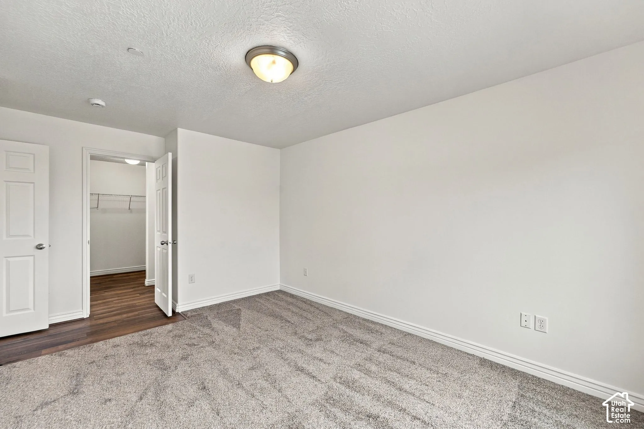 Neutral interior space featuring neutral carpeting, a flush-mount ceiling light fixture, a walk-in closet with integrated shelving, and wood-finish flooring