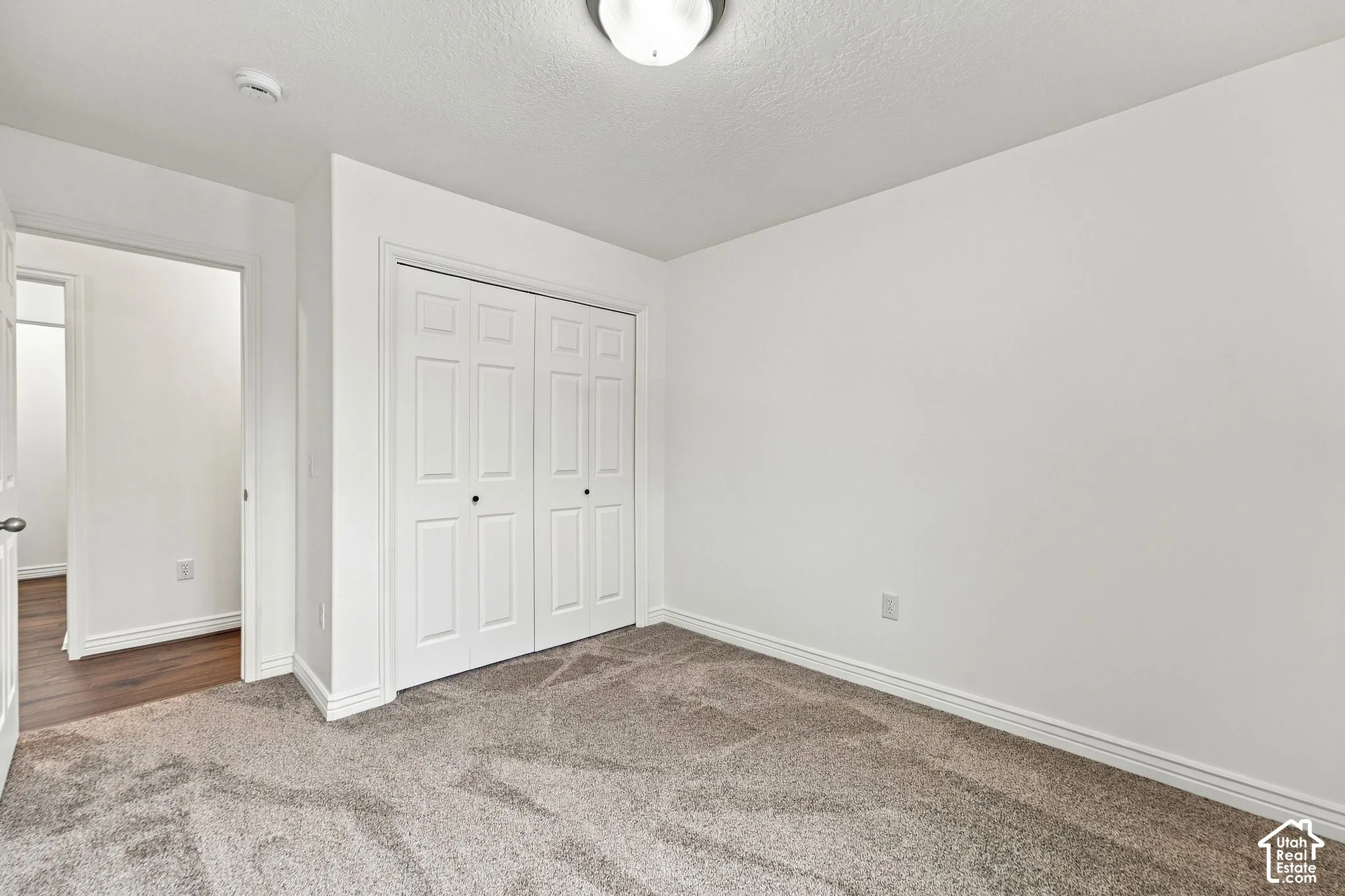 Neutral-toned carpeting, dual-panel closet doors, and a ceiling-mounted light fixture