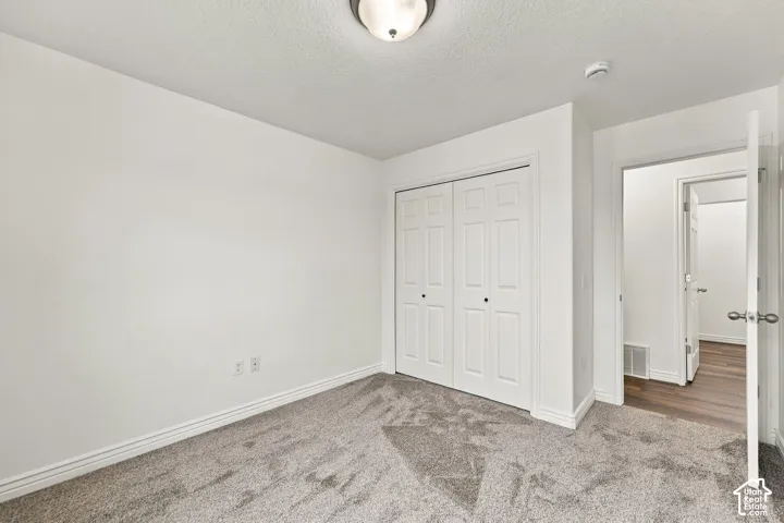Neutral wall finishes, textured carpeting, closet with paneled double doors, and ceiling-mounted light fixture