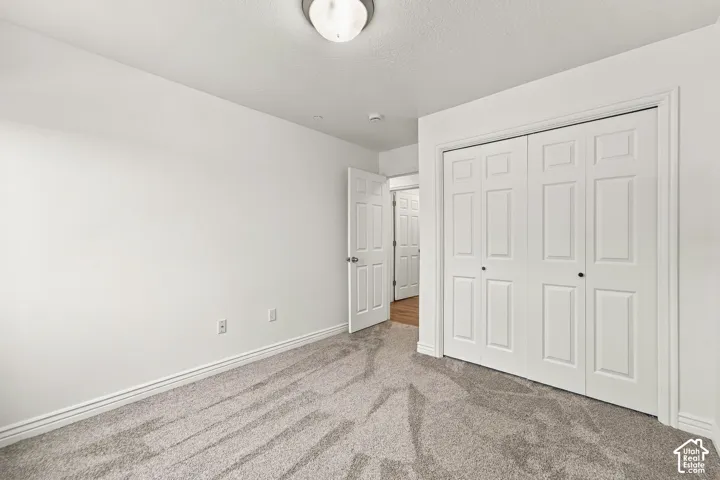 Neutral-toned carpeting, white walls, flush-mount ceiling lighting, and a double-panel closet with white doors