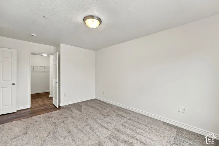 Neutral interior space featuring neutral carpeting, a flush-mount ceiling light fixture, a walk-in closet with integrated shelving, and wood-finish flooring