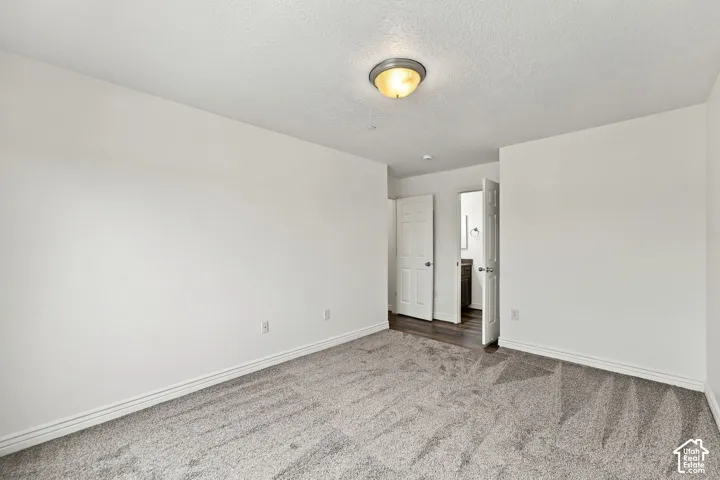 Neutral-toned wall-to-wall carpeting, flush-mount dome lighting, and two six-panel interior doors