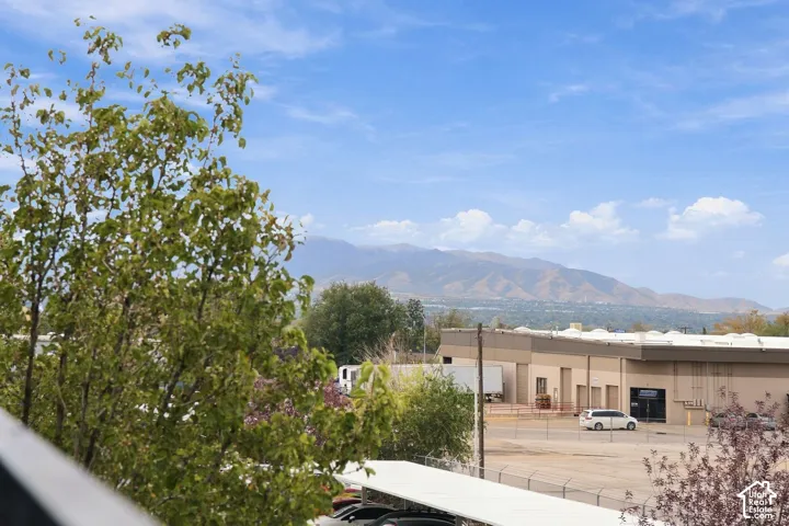 Mountain range scenery and established trees
