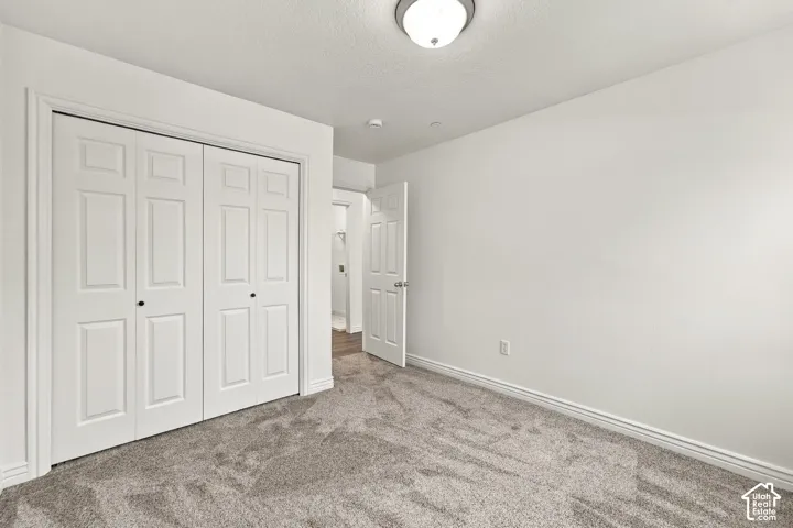 Room featuring neutral wall-to-wall carpeting, ceiling-mounted light fixture, and double-door closet with six-panel doors