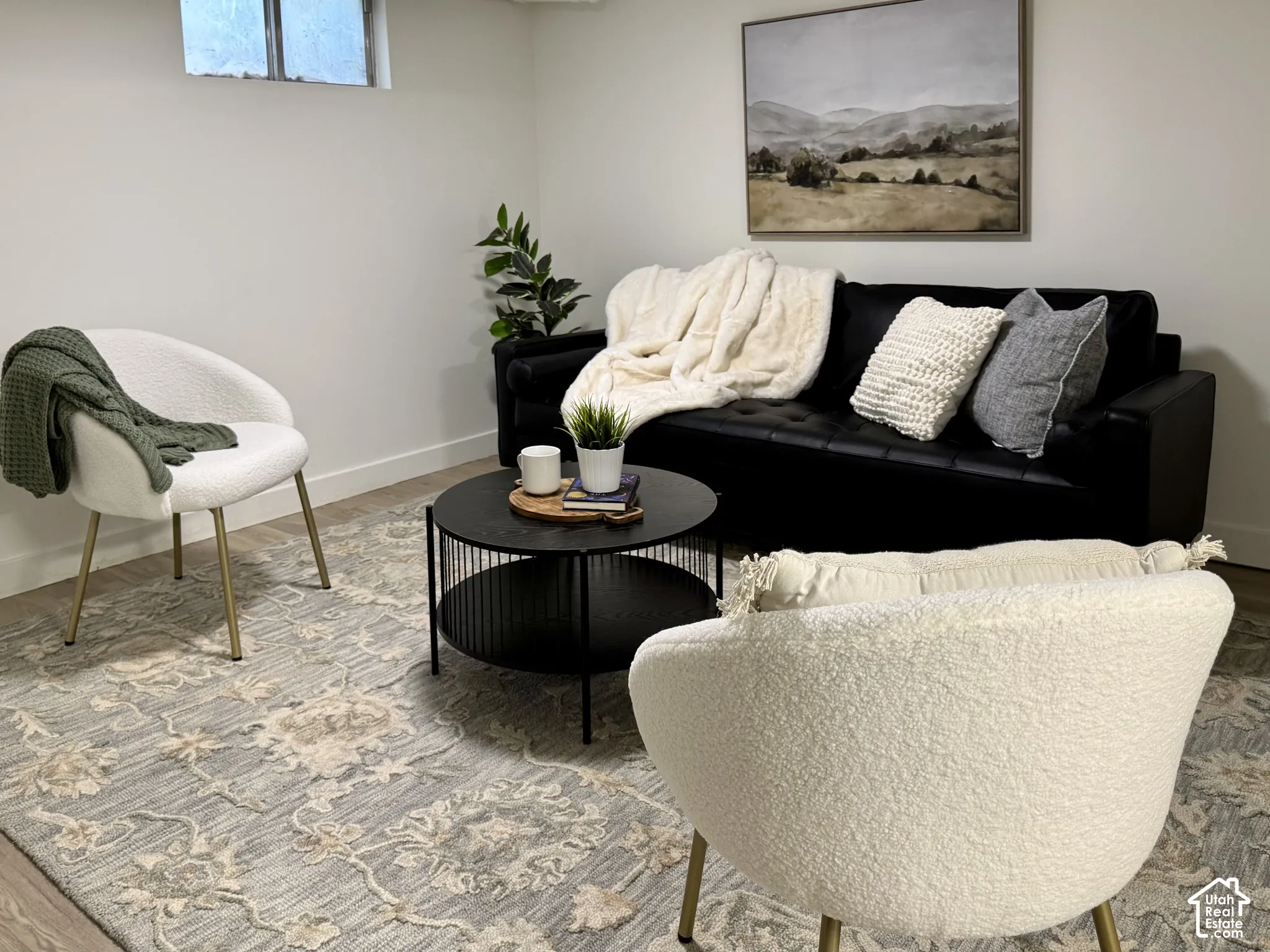 Basement living area