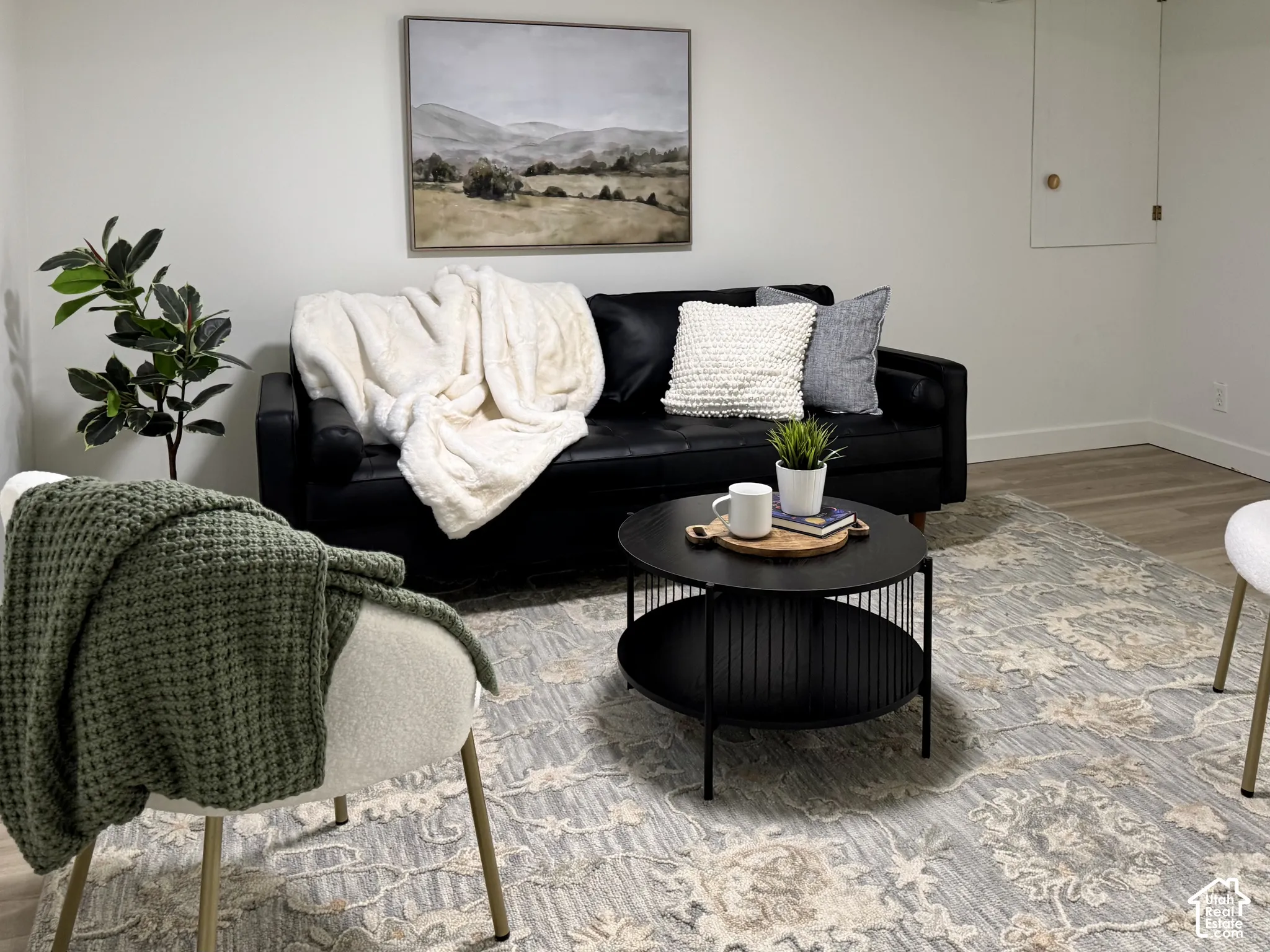 Basement living area