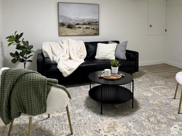 Basement living area