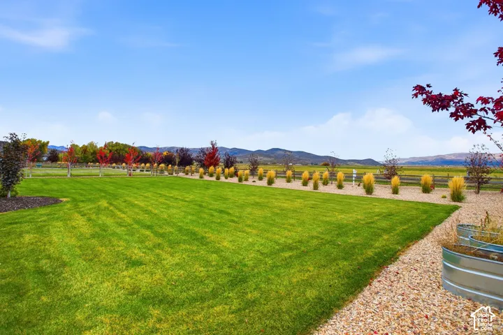 Expansive lawn area with a gravel border and decorative planters