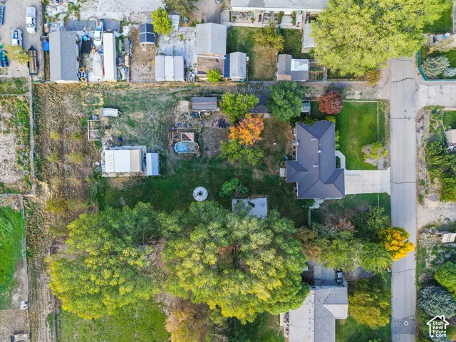 Aerial perspective of a sprawling lot featuring mature trees, an expansive lawn, and a concrete driveway