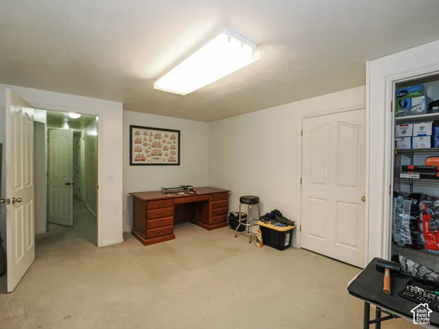 Interior room featuring neutral carpeting, a dual-panel interior door, a flush-mount rectangular light fixture, and built-in closet shelving