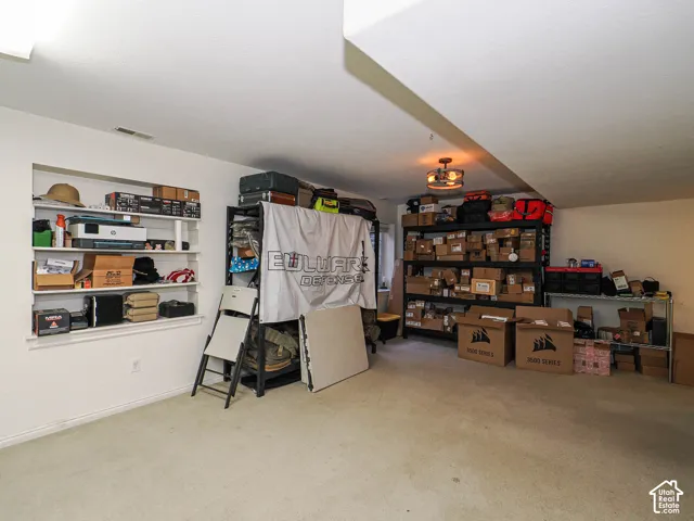 Room featuring wall-to-wall carpeting, recessed shelving, and a metal-frame industrial style light fixture