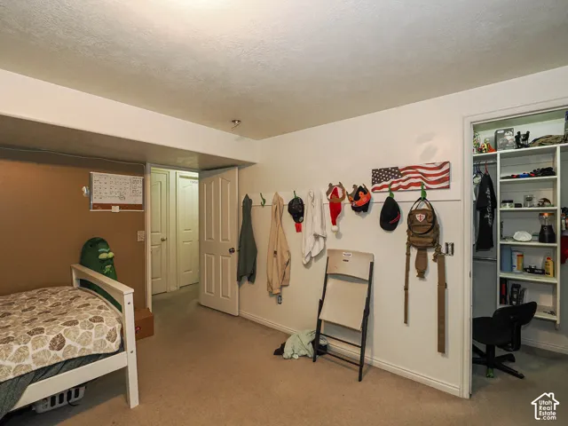 Neutral-toned carpeting, built-in wall-mounted coat rack, and recessed closet shelving with multiple storage levels