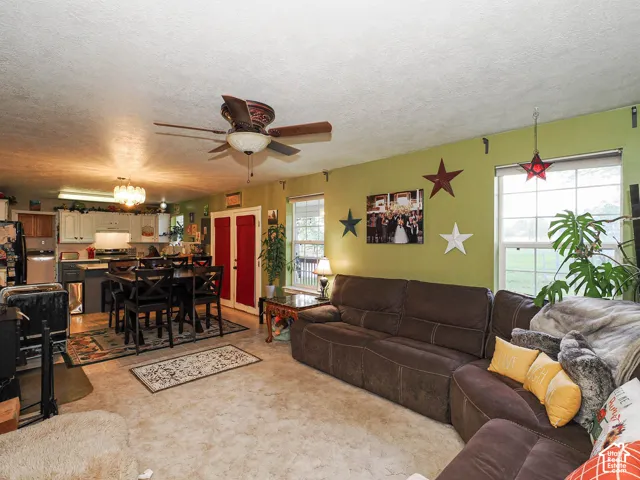 Open-concept interior featuring a ceiling fan with integrated lighting, multi-pane windows, and a dedicated kitchen area with white cabinetry