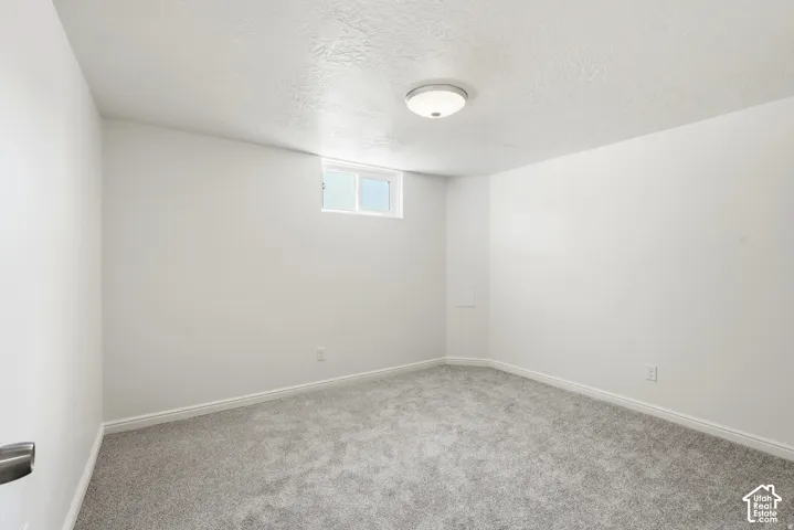 Neutral-toned wall-to-wall carpeting, crisp white walls, flush-mount ceiling lighting, and a slider window