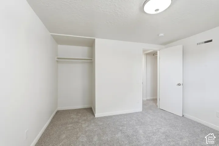 Neutral-toned carpeting, white interior doors, walk-in closet with built-in shelving, and a dome ceiling light fixture