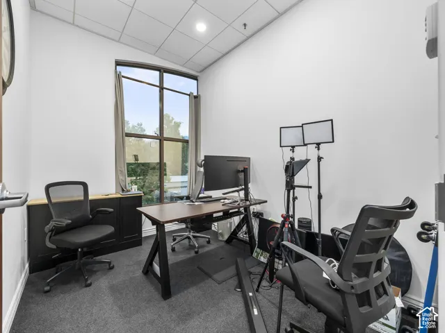 Interior room featuring a floor-to-ceiling multi-pane window, suspended acoustical tile ceiling, built-in black cabinetry with a wood-finish surface, and wall-to-wall carpeting