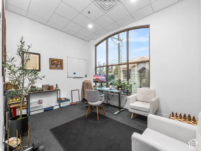 Large, arched window featuring a multi-pane design, high-contrast wall finishes, and suspended ceiling grid