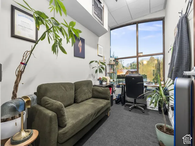 Floor-to-ceiling windows, high-vaulted ceiling with grid paneling, and wall-mounted storage cabinet