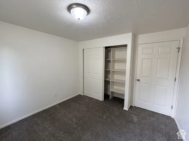 Neutral wall tones, grey carpeting, flush-mount ceiling lighting, six-panel interior door, and a sliding-door closet featuring built-in shelving