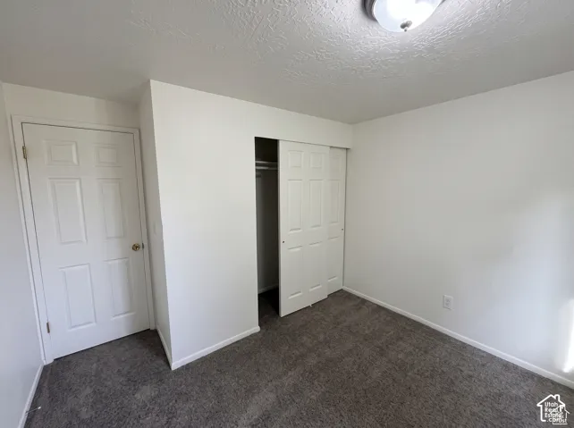 Neutral wall paint, plush carpeted flooring, two-panel interior door, and a built-in closet with sliding doors