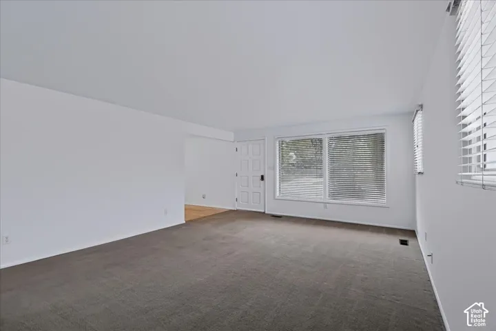 Neutral interior space featuring wall-to-wall carpeting, large windows with horizontal blinds, and a paneled entry door