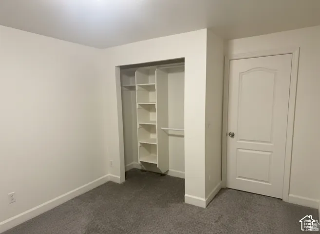 Interior room featuring neutral wall paint, carpeted flooring, a paneled interior door, and a built-in closet system with shelving and hanging rods