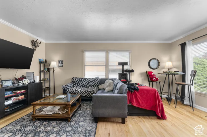 Living room featuring wood-finish flooring, crown molding, and dual windows with blinds