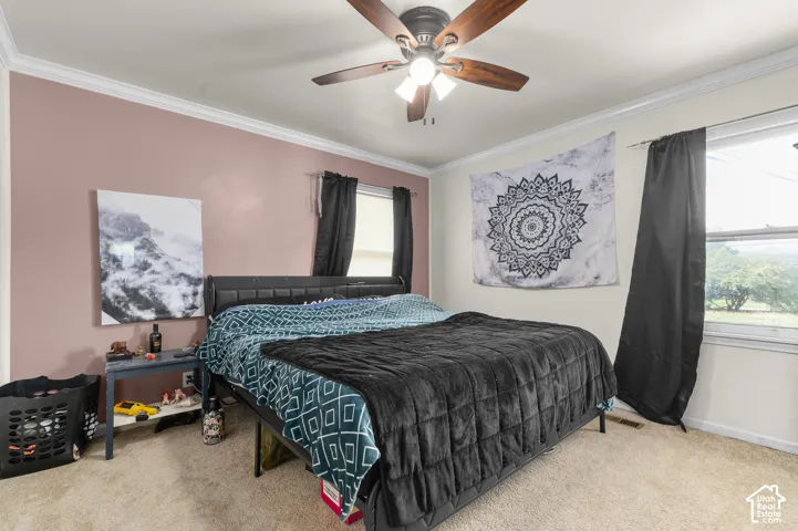 Neutral-toned carpeted room featuring crown molding, a multi-blade ceiling fan with integrated lighting, and dual windows