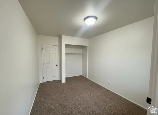 Neutral-toned interior room featuring wall-to-wall carpeting, a recessed reach-in closet with integrated shelving, and a six-panel door