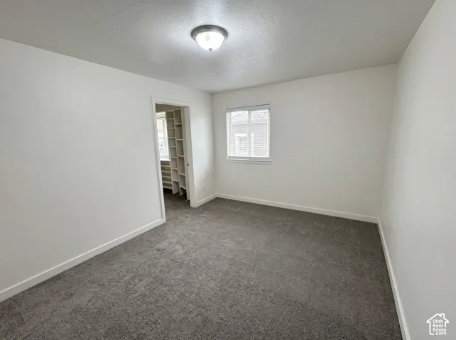 Neutral wall finish with grey carpeting, flush-mount ceiling lighting, window with horizontal blinds, and walk-in closet featuring built-in shelving