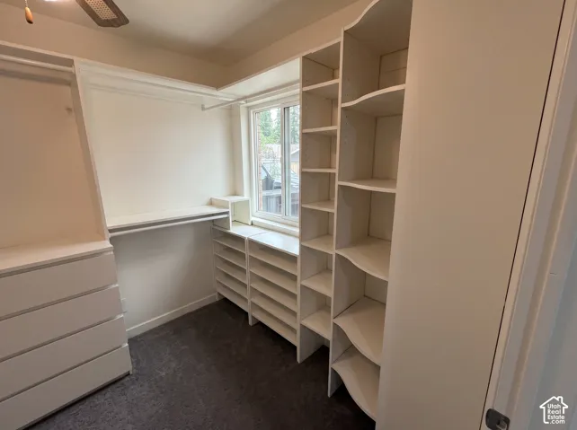 Custom walk-in closet featuring white built-in shelving, integrated hanging rods, a multi-drawer storage unit, and dark carpet flooring