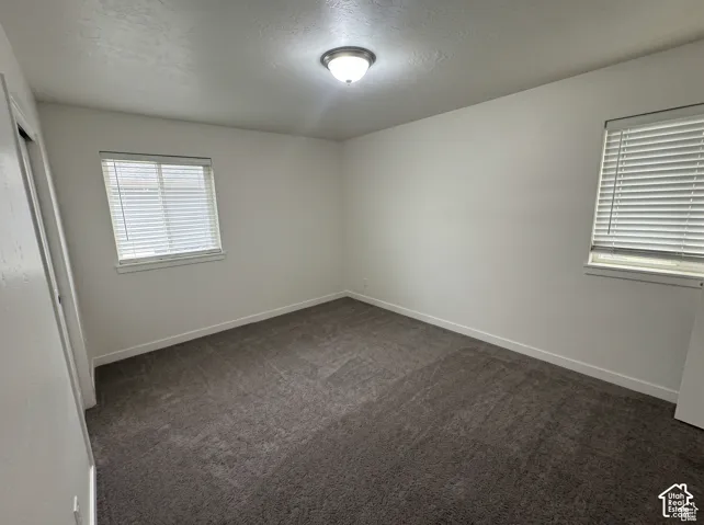 Neutral-toned carpeted flooring, dual windows with fitted blinds, and central overhead lighting fixture