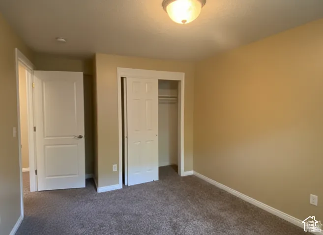Interior space featuring neutral wall paint, wall-to-wall carpeting, a reach-in closet with double-panel doors, and a ceiling-mounted light fixture