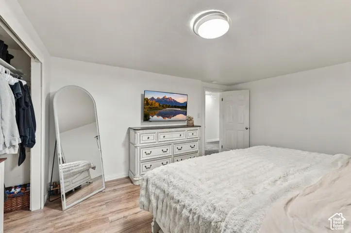 Room featuring wood-finish flooring, a recessed closet, and a flush-mount ceiling light fixture