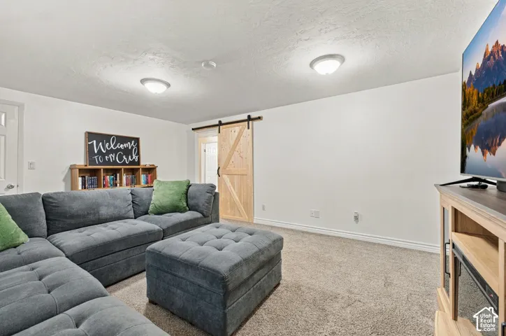 Interior space featuring wall-to-wall carpeting, light wood-finish sliding barn door with matte black hardware, and dual ceiling-mounted light fixtures