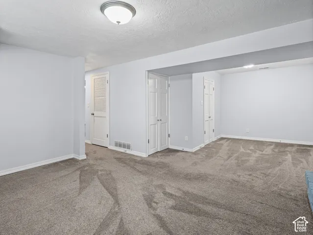 Neutral-toned carpeting, flush-mount ceiling lighting, and multiple interior closets featuring paneled doors