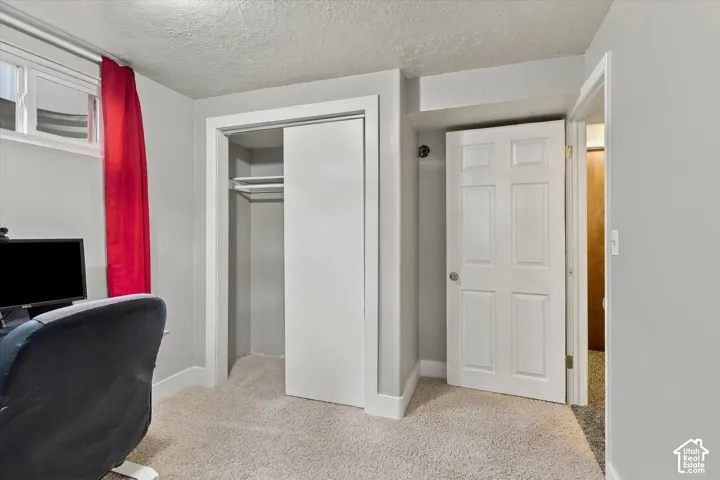 Neutral-toned interior featuring wall-to-wall carpeting, a sliding-panel closet with integrated shelving, and a six-panel door