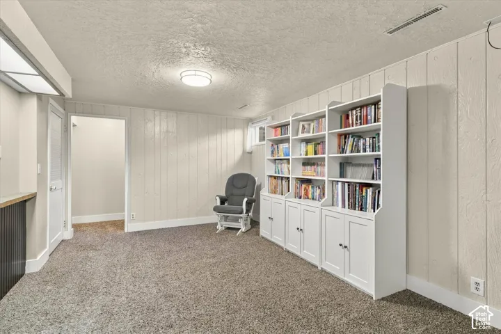 Built-in white cabinetry with lower storage cupboards and open shelving, neutral carpeting, and panel walls