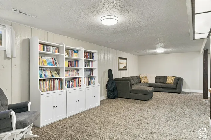 Built-in white cabinetry with open shelving, neutral carpeting, and flush-mount ceiling lighting
