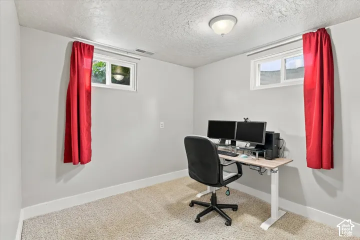 Neutral-toned interior space featuring light-colored wall-to-wall carpeting, dual horizontal sliding windows, and a flush-mount ceiling light fixture