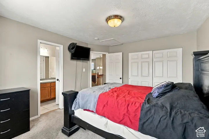 Neutral-toned room featuring neutral carpeting, double-panel closet doors, and flush-mount lighting
