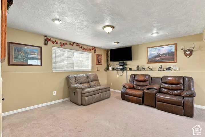 Neutral-toned interior space featuring textured ceilings, recessed lighting, wall-to-wall carpeting, and horizontal slat blinds
