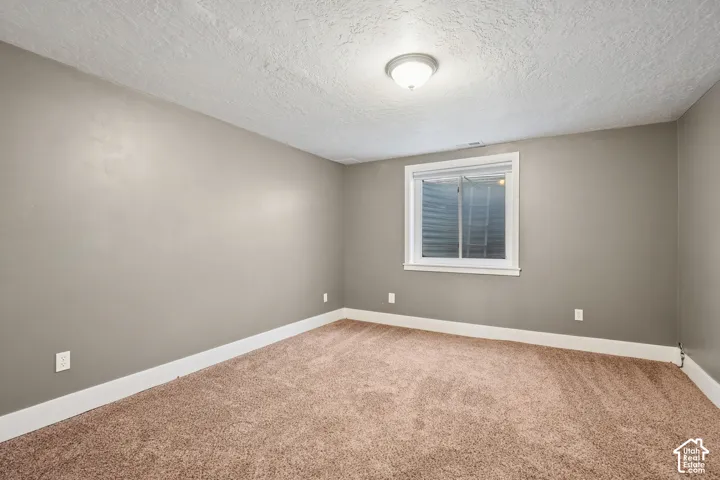 Neutral-toned wall paint, plush carpeting, ceiling-mounted light fixture, and an egress window with a metal window well