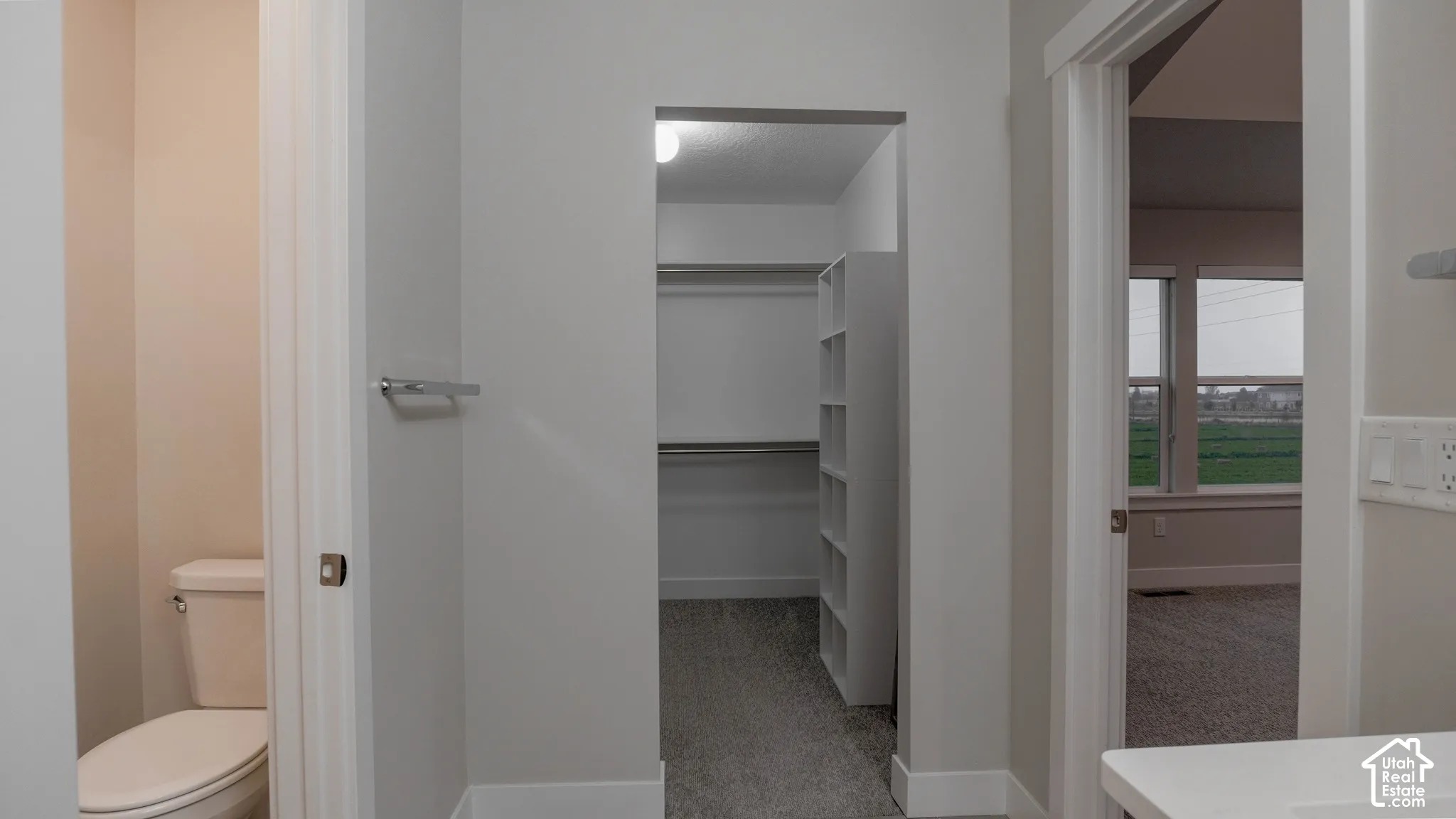 Walk-in closet featuring built-in shelving, plush carpeting, a dual-flush toilet, and wall-mounted towel hardware