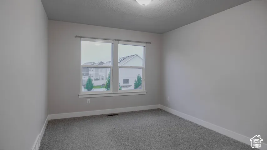 Neutral-toned wall paint, plush carpeting, double-pane window with white casing, and a ceiling-mounted light fixture