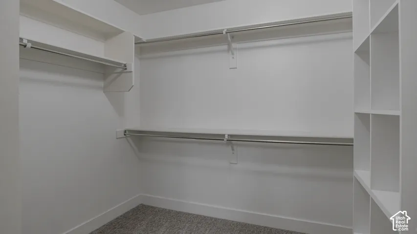 Walk-in closet featuring multi-level hanging rods, built-in shelving units, and neutral carpeting