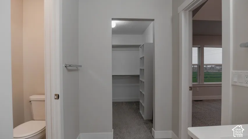 Walk-in closet featuring built-in shelving, plush carpeting, a dual-flush toilet, and wall-mounted towel hardware