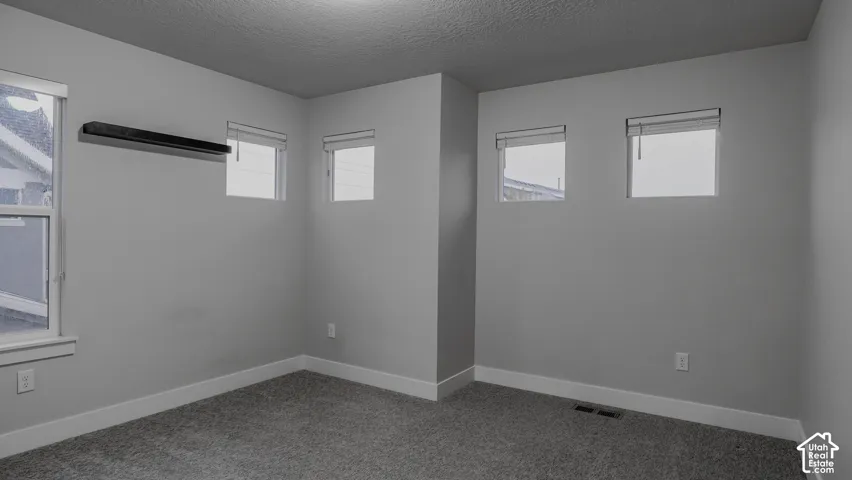 Neutral-toned room featuring high-set windows, wall-to-wall carpeting