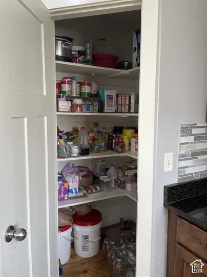 Walk-in pantry featuring five-tier shelving, white shiplap wall finishes, and a classic paneled swing door