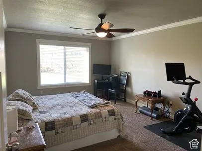 Neutral-toned interior featuring carpeting, crown molding, a multi-blade ceiling fan with integrated lighting, and a large horizontal window